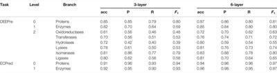 An Interpretable Double-Scale Attention Model for Enzyme Protein Class Prediction Based on Transformer Encoders and Multi-Scale Convolutions